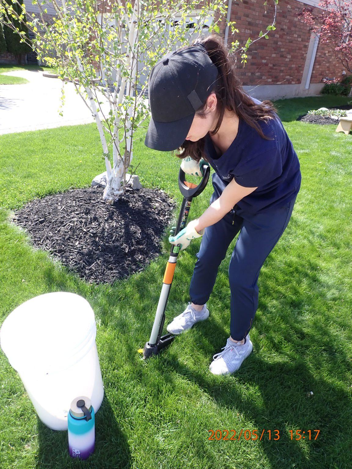 What is the most ergonomic method to pull weeds? • Taylor'd Ergonomics