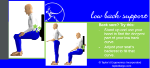 how to adjust low back support