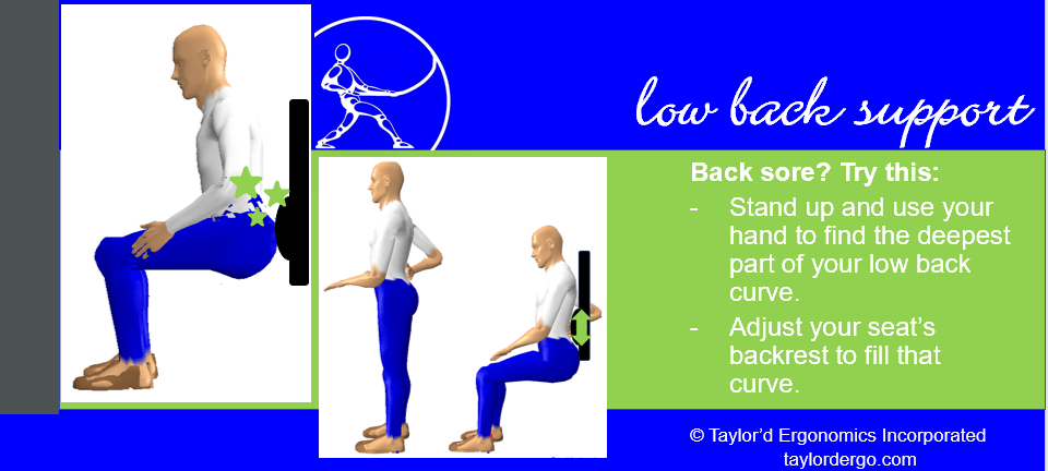 how to adjust low back support