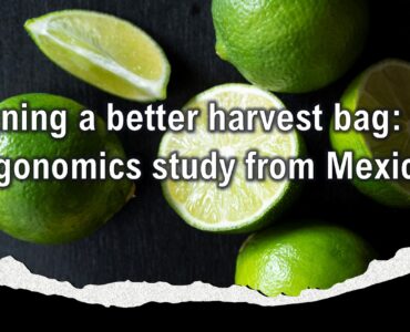 Title of article "Designing a better harvest bag: Ergonomics study from mexico"